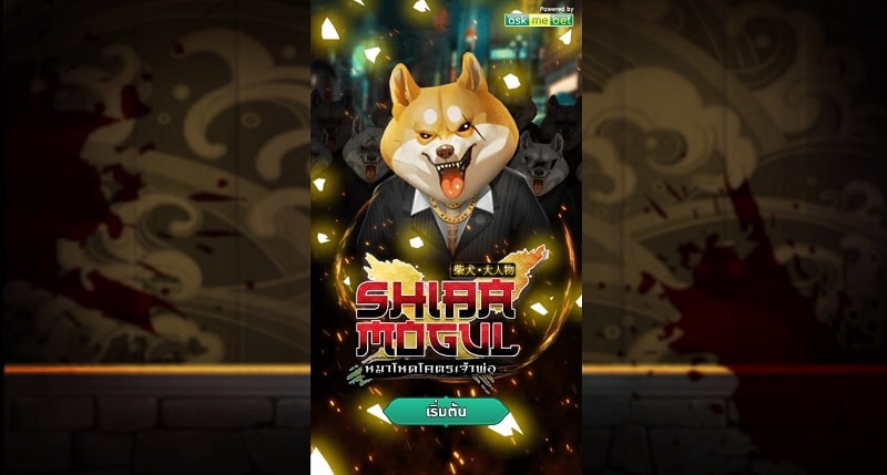 Shiba Mogul